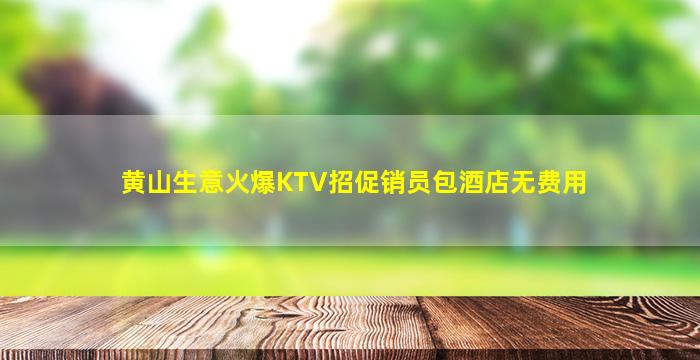 黄山生意火爆KTV招促销员包酒店无费用